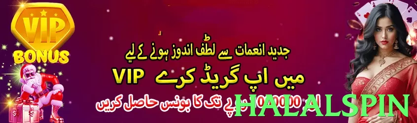 halalspin Pakistan - 3